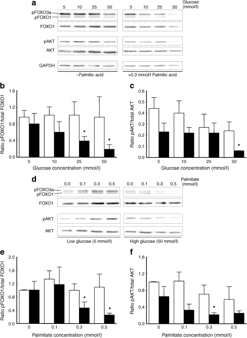 Fig. 6