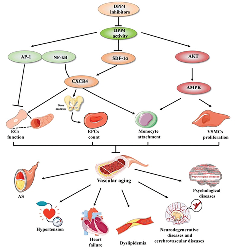 Figure 2