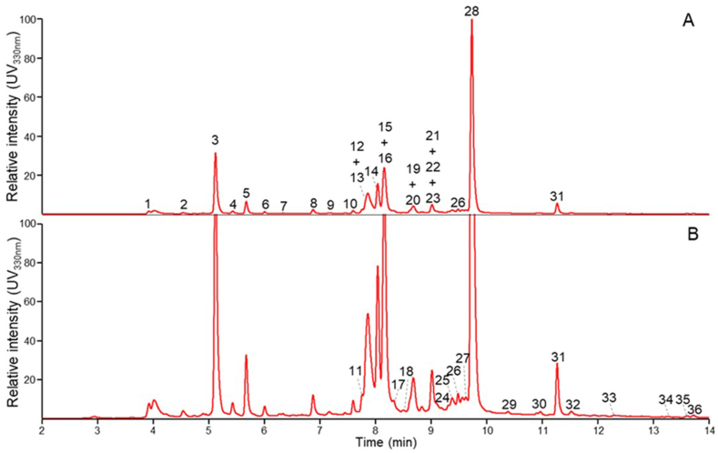 Fig. 7