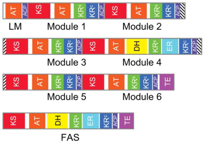 Fig. 24