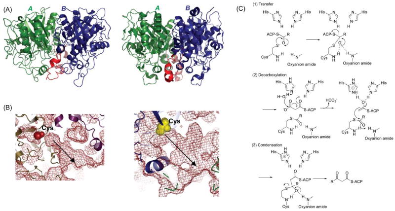 Fig. 18