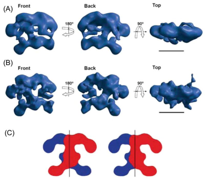 Fig. 9