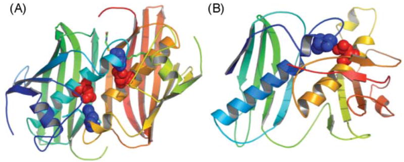 Fig. 20