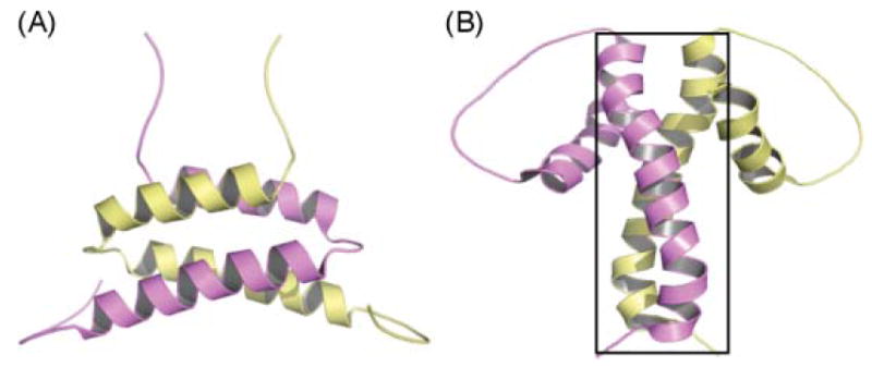 Fig. 23