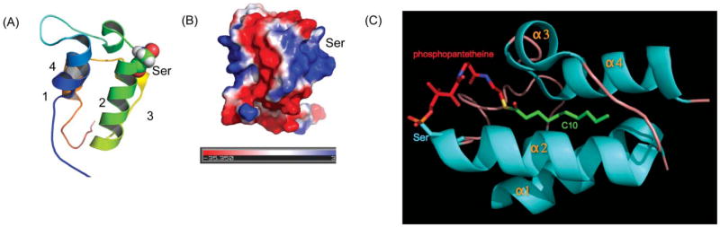 Fig. 16