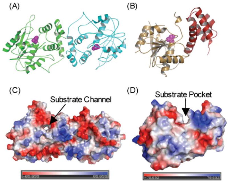 Fig. 22