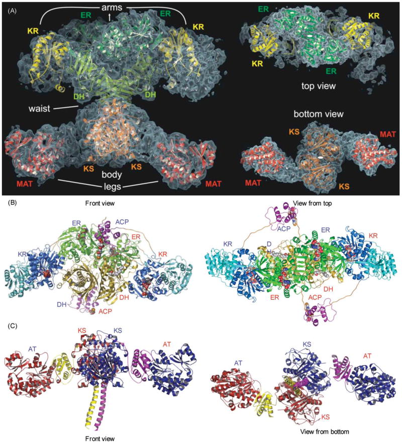 Fig. 10