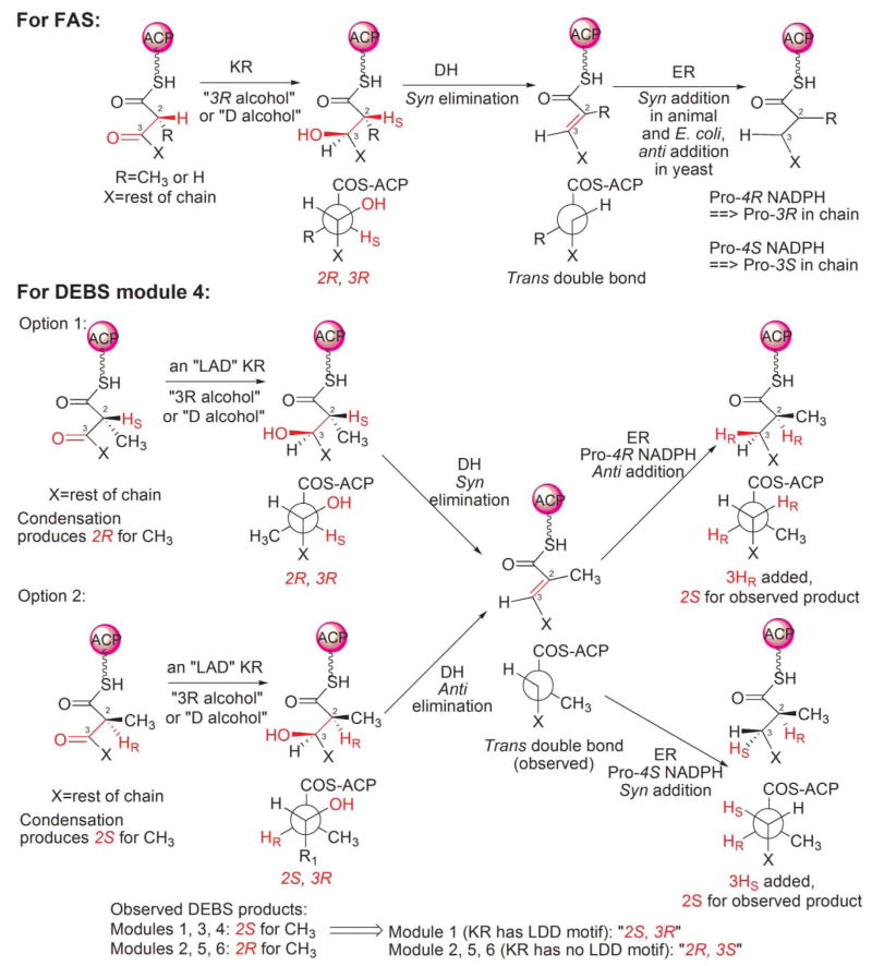 Fig. 15