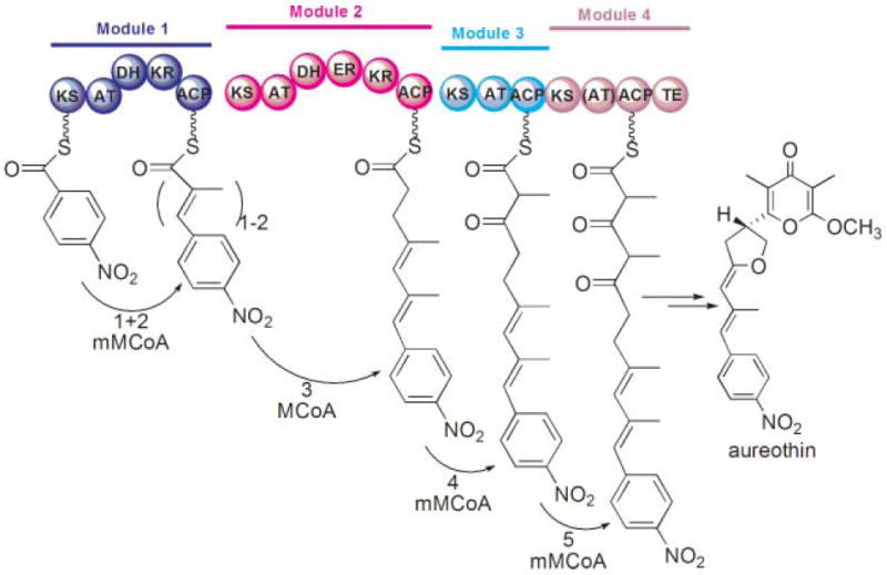 Fig. 14