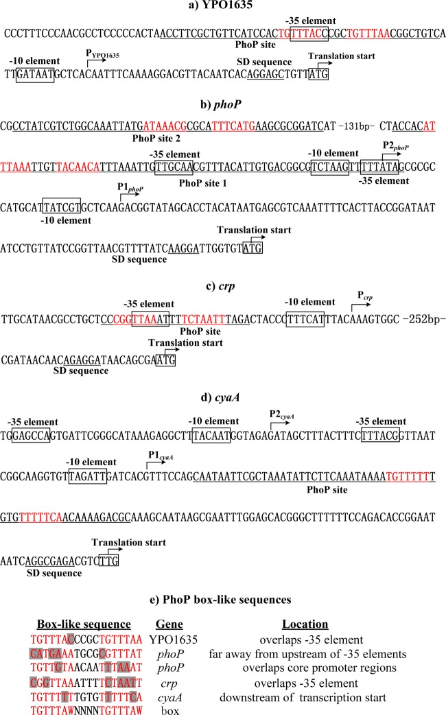 Fig 5