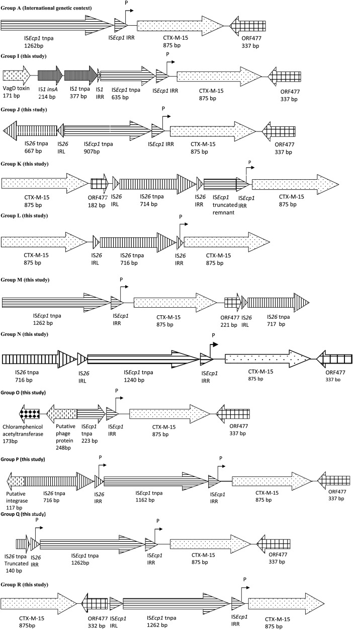 Figure 2.