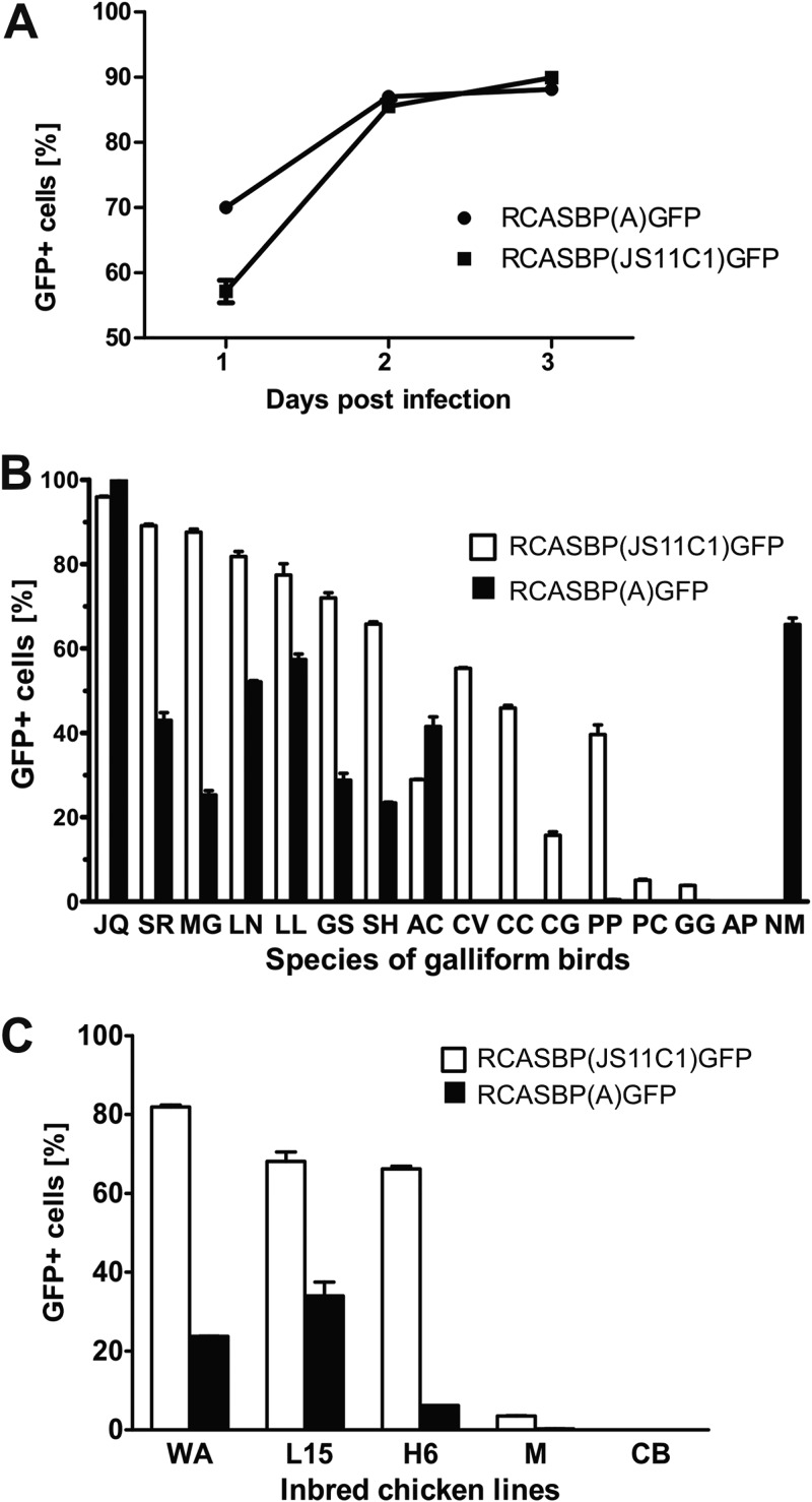 FIG 2