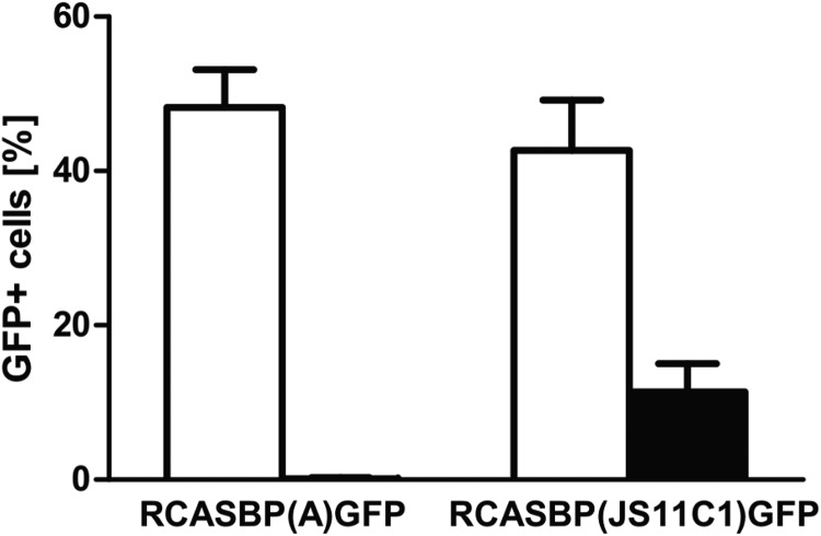 FIG 5