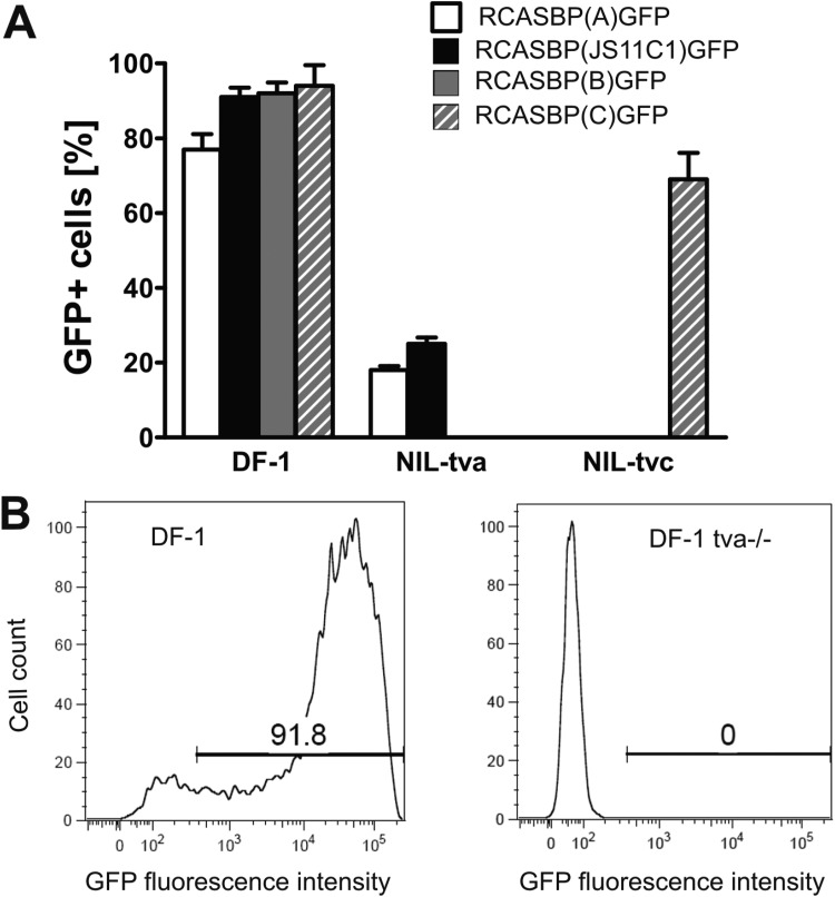 FIG 3