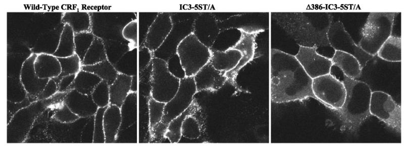 Fig. 12