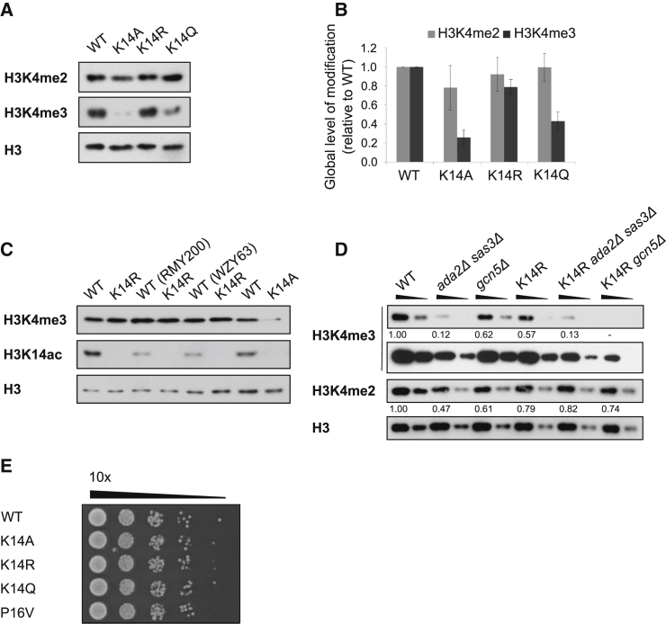 Figure 2