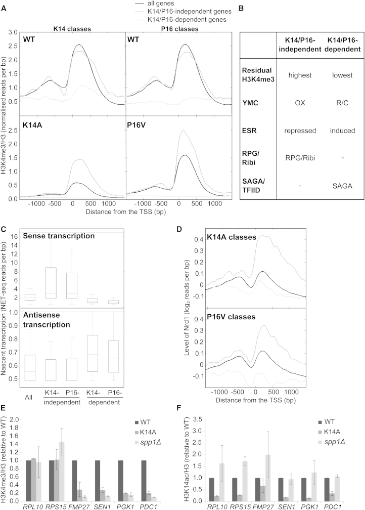 Figure 5