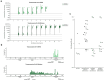 AlphaBind optimization of Trastuzumab-scFv using external DMS data, and optimized in two ways: CDRH3-only and full CDRH2–FR3–CDRH3. Panel A shows AlphaSeq affinity results, Panel B shows sequence diversity, and Panel C confirms expression and binding of top candidates via BLI.