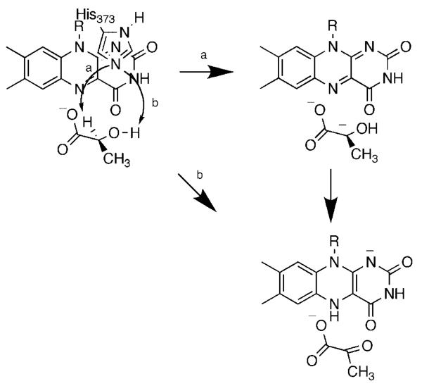 Scheme 7