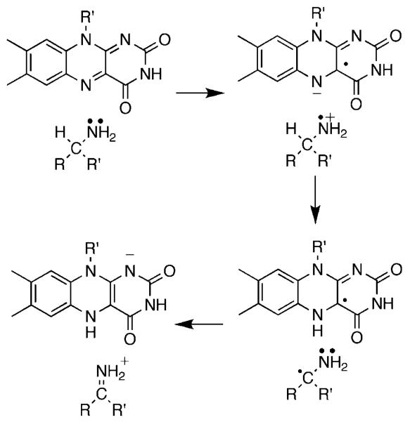 Scheme 3