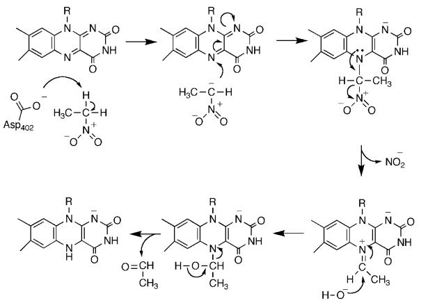 Scheme 10