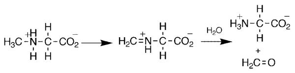 Scheme 6