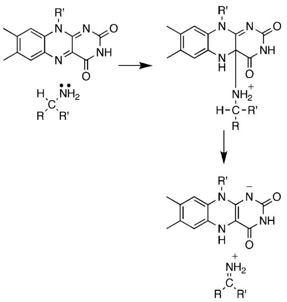 Scheme 2