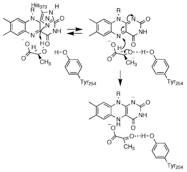 Scheme 8