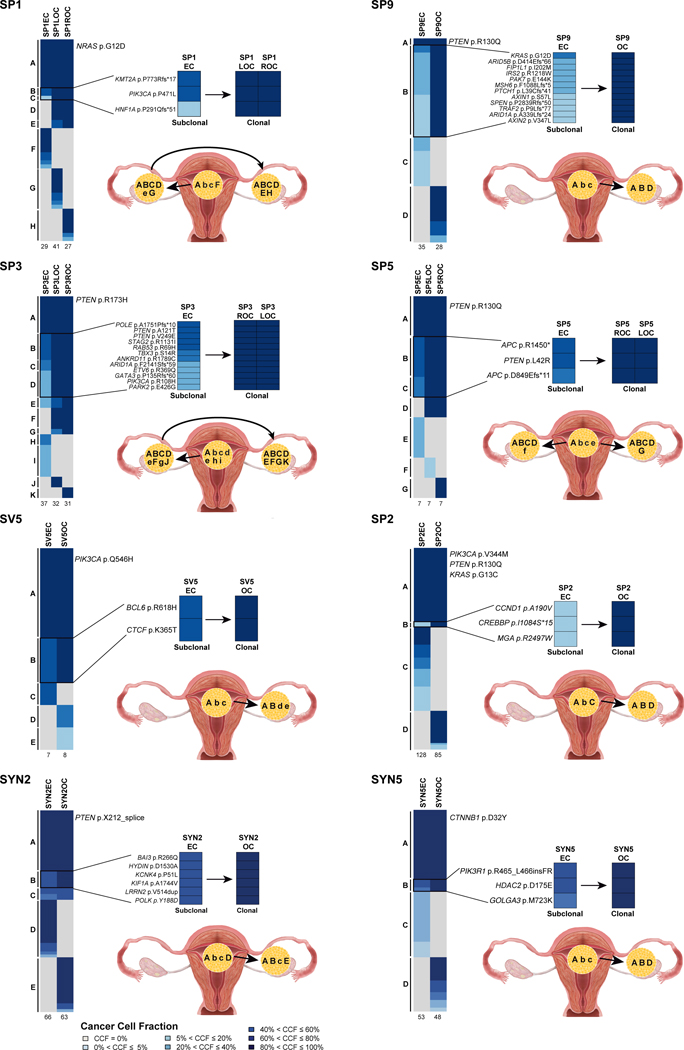 Figure 4: