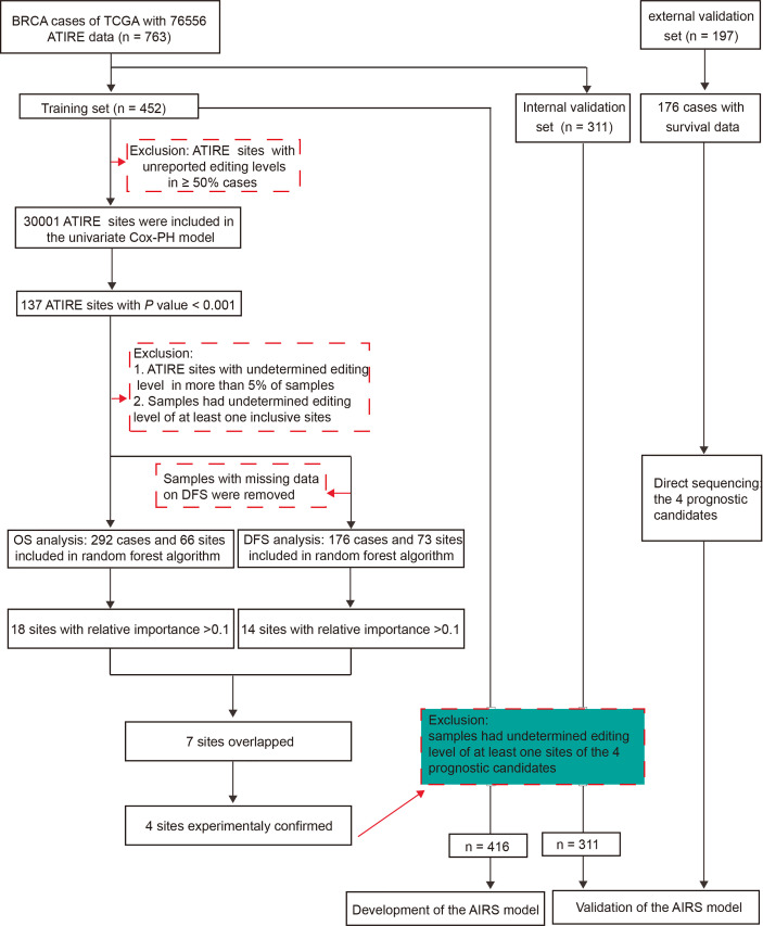 Figure 1