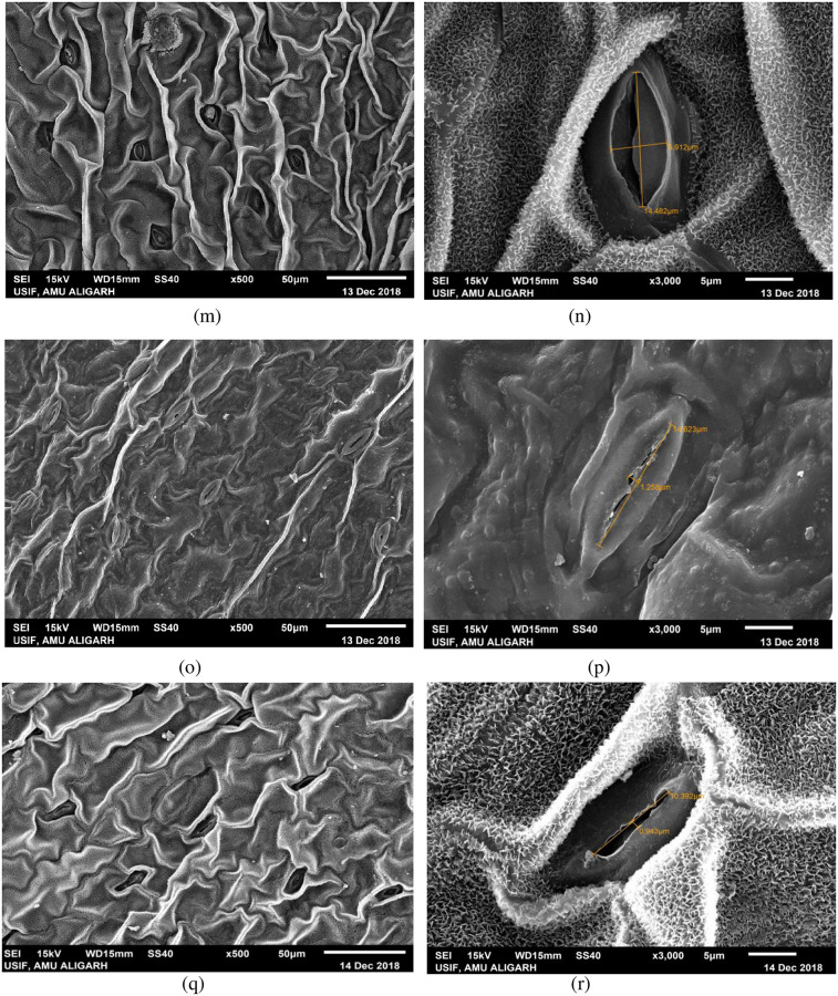 Fig 9