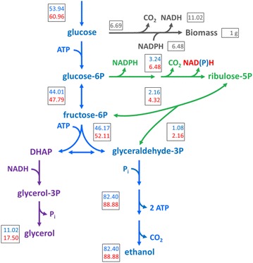 Fig. 1