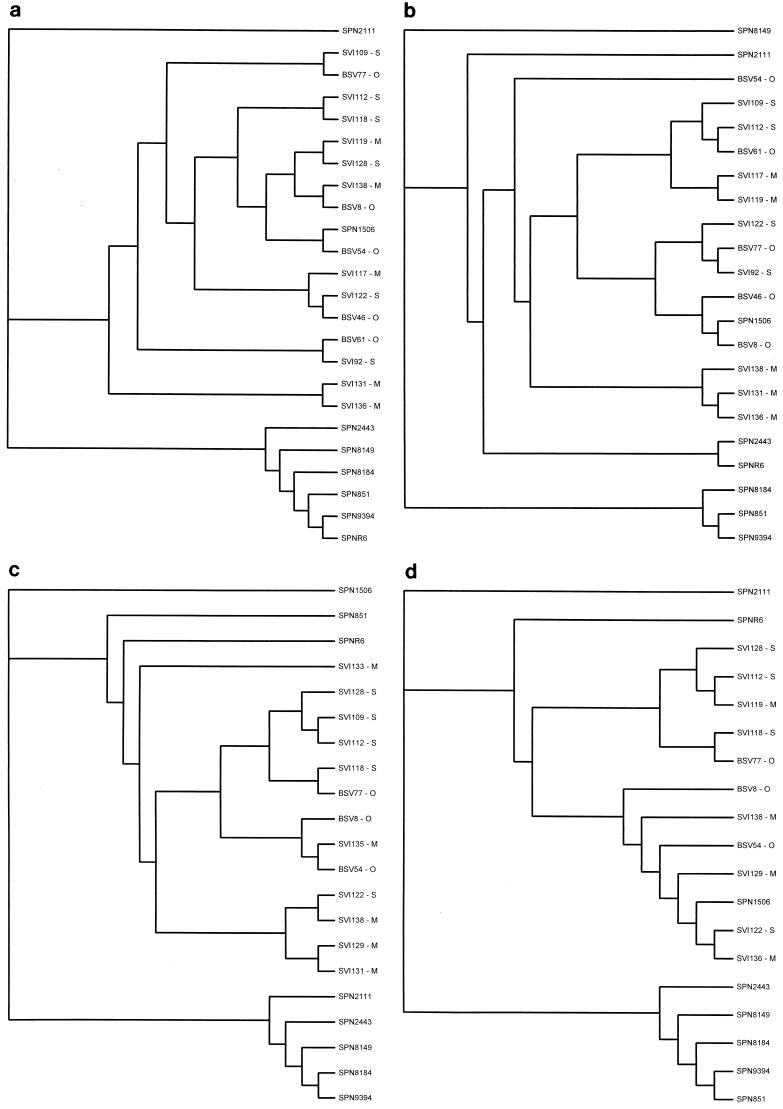 FIG. 1