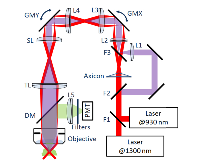 Fig. 1