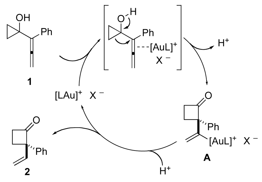 Scheme 2