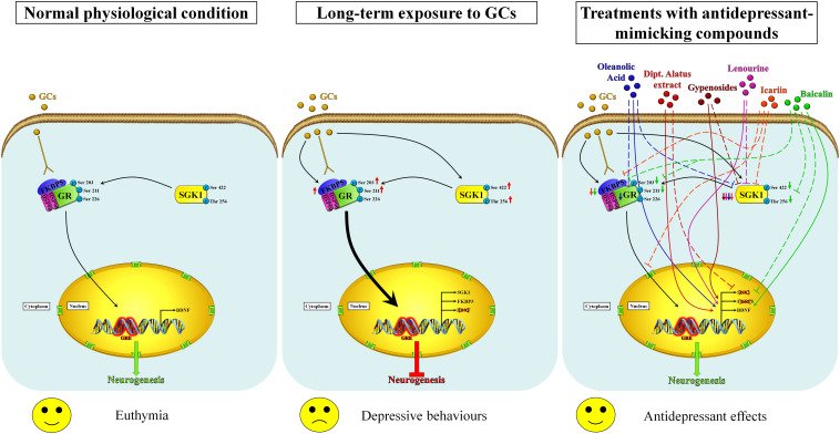 FIGURE 1