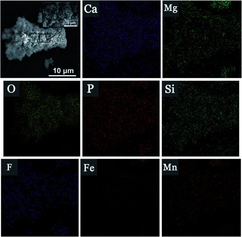 Fig. 7