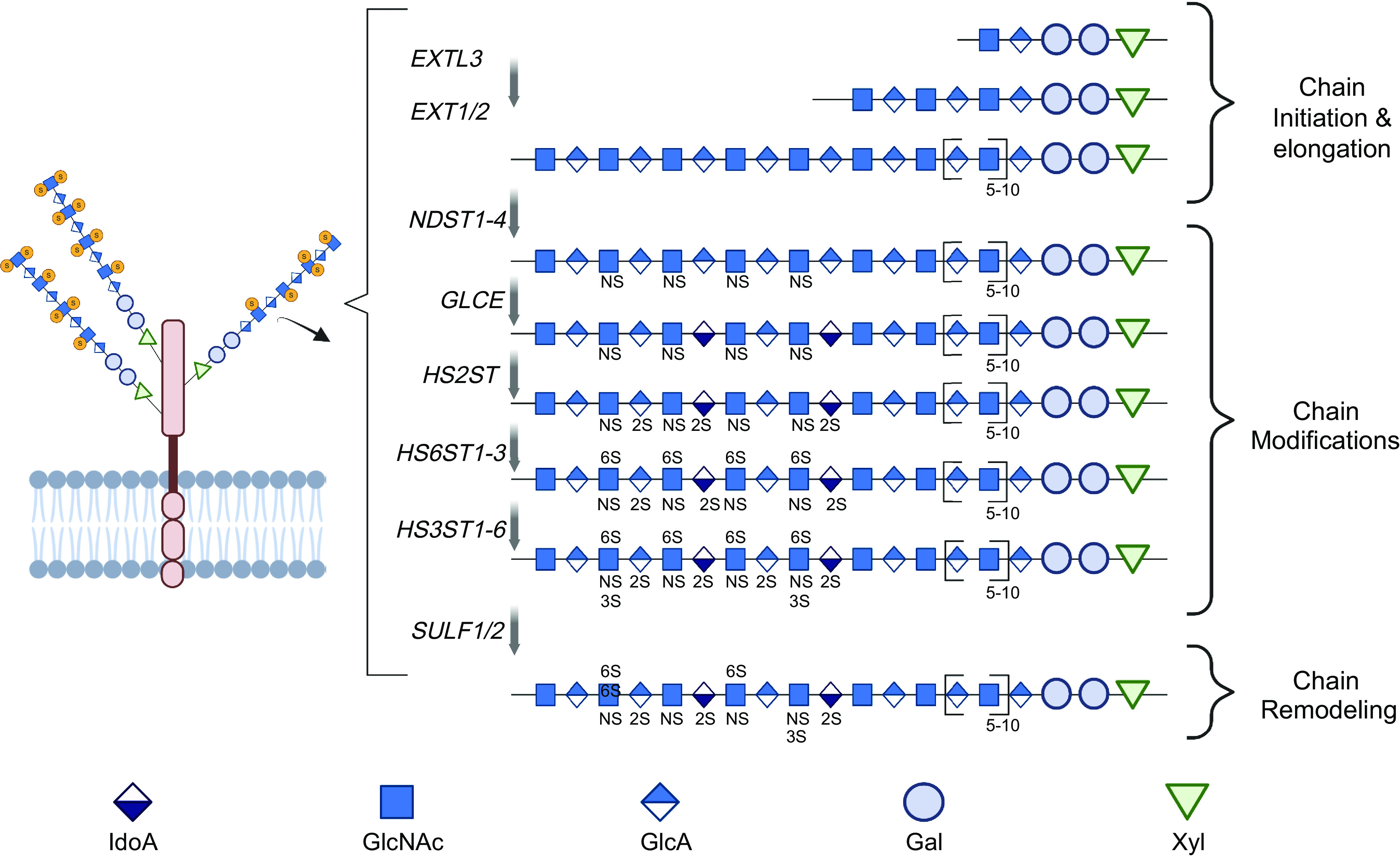 Figure 2.