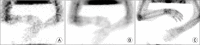 Fig. 11