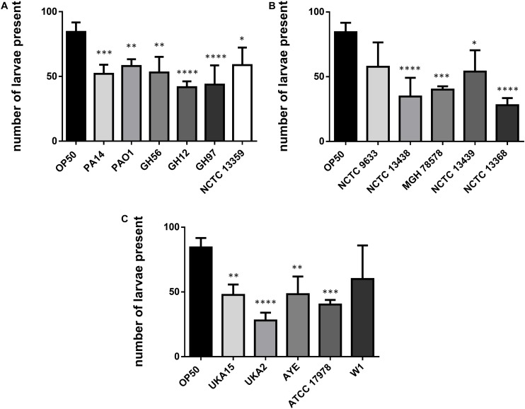 FIGURE 3