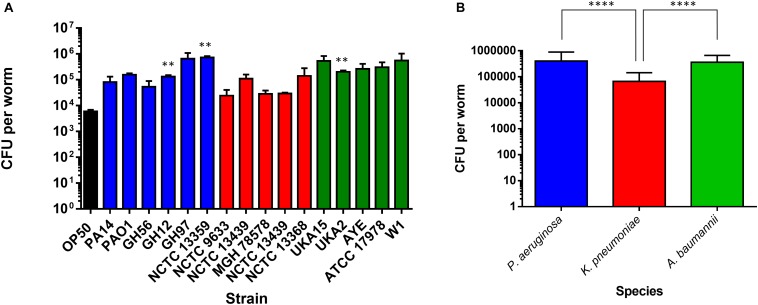 FIGURE 4