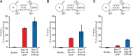 Figure 3—figure supplement 1.