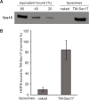 Figure 2—figure supplement 2.