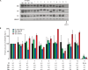 Figure 1—figure supplement 1.