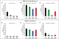 Figure 6—figure supplement 1.