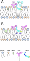 Fig. 2