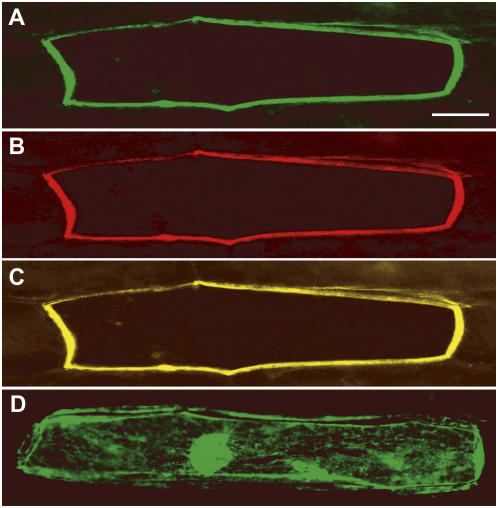 Figure 4.