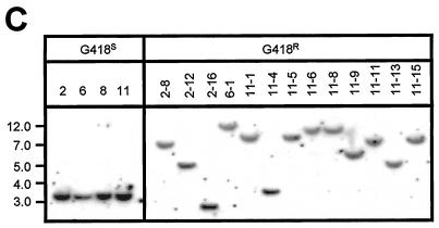 FIG. 5.