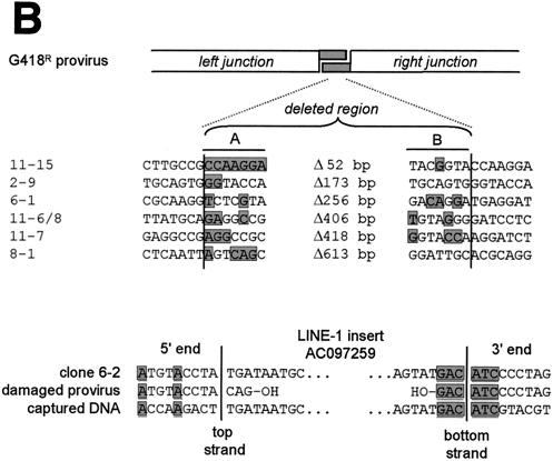 FIG. 6.