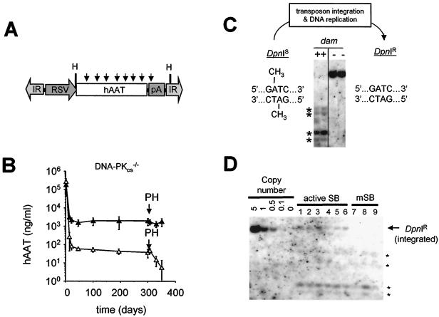 FIG. 2.